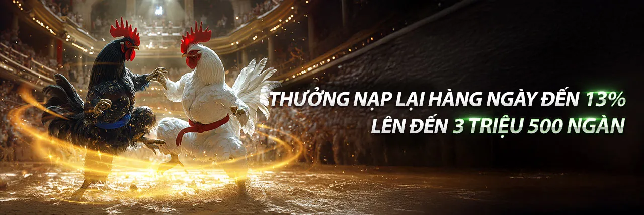 Hình ảnh chính đá gà trực tuyến 1888bet win